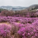 산신제터 네이버블로그