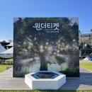 티켓나무
