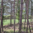 소은목장 이미지