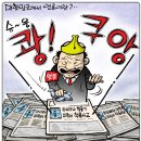 오늘의 신문 시사만평(Today Cartoon) 2013년 7월 8일 월요일 이미지