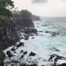 의귀리 김만일 묘역 이미지