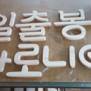 일출봉아로니아