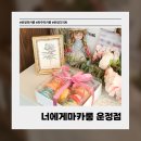 너에게 마카롱 운정점 | [파주] 운정 디저트 맛집 너에게마카롱｜수제 마카롱, 쫀득쿠키 직접 먹어본 후기