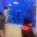 해화푸드