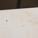 하루의 기억 이미지