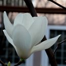 호수언저리 이미지