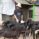 남은농장 이미지