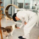 랙돌카페냐옹 이미지