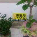 사하구-68 이미지