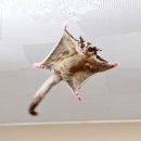 서동 동물메디컬센터 이미지