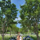 장생포야구장(주말) 이미지