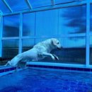 솔잎펜션 2 이미지