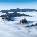 사계 - 태안군 연포2길 51-6 | 사계