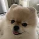 욜로멍 | 2025년 마무리, 시작은 힘들었지만 끝은 행복했다