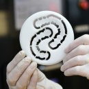 앞선치과기공소 이미지