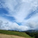 매봉목장 이미지