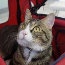 로얄종합동물병원 이미지