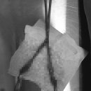 웰니스동물병원(롯데월드점) 이미지