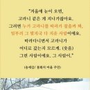 자연인