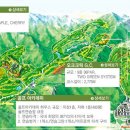 오크힐스 컨트리클럽 이미지