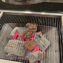 성정공원5로 | [천안] 꽃갈비살이 맛있는 24시 소갈비살 전문점 품육 성정점 방문후기