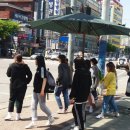 대비지 이미지