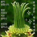 꽃이 피는 날에는 이미지