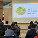 백운요 이미지