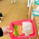 찬우물농장 이미지