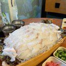 날으는산오징어 이미지