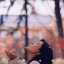 동감 이미지