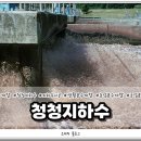 청청지하수