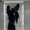 나니살롱 이미지