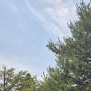 양양 범부리 범부메밀국수(전현무계획) 이미지