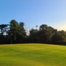 뉴코리아 이미지