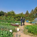 강남중의 강남 내곡동 토지 반값급매 이미지