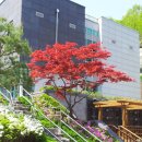 하남시 마루공원 장례식장 지하1층 이미지