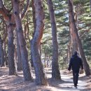 척산온천 이미지