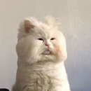 힛더핏 영통점 이미지