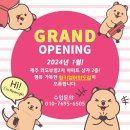 ♥링키영어 외도점♥ 5-9세 전문 프리미엄 영어 1월에 오픈합니다!!!!! 이미지