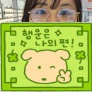 으뜸50안경 합정메세나 | 안경추천｜으뜸50 안경_합정메세나점 후기｜가성비안경