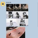 돈워리독 이미지