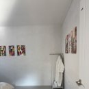 멍글하우스 이미지