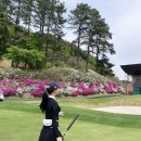 골프존카운티천안클럽하우스 | 골프존카운티 천안 7월 1부 첫티 라운딩 후기