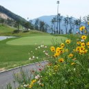 거제뷰컨트리클럽 이미지