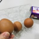 에그모닝