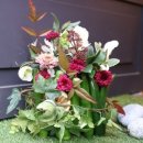 컨포지움 이미지