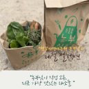 부석들풀농장2 | [양평 로컬푸드] 땅의 정직함과 손의 온기가 만나는 곳, 4월 두물뭍농부시장 셀러 이야기