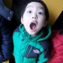 가야119안전센터 이미지