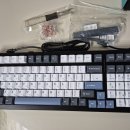 F99 이미지